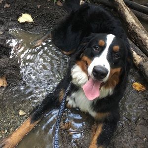 Meet your Posher, Macy